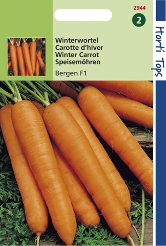 Winter Carrot Bergen F1 (Daucus) 1000 seeds